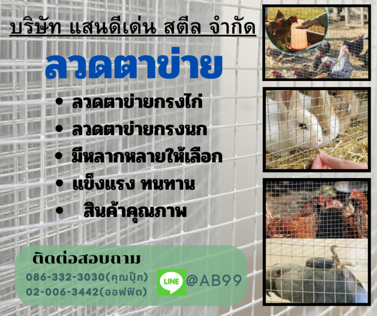 ลวดตาข่ายคืออะไร เลือกหน้ากว้าง ช่องตา และเบอร์ลวดอย่างไรให้เหมาะกับงานกรงไก่ ล้อมสวน กันงู และงานอเนกประสงค์