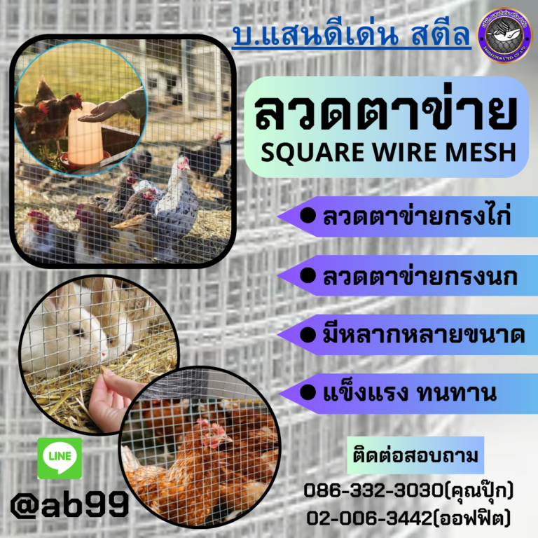 ลวดตาข่าย: ขนาดมาตรฐาน ประเภท การใช้งาน และวิธีเลือกให้เหมาะกับงาน (คู่มือฉบับมืออาชีพ)